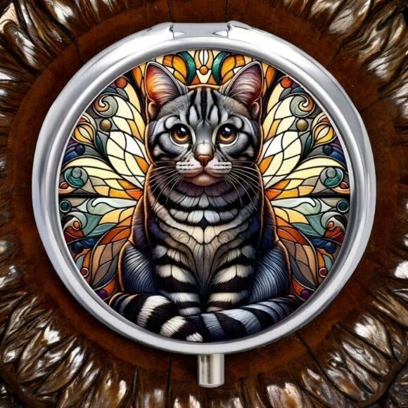 Tabby Striped Cat Pill Box Medicine Mini Steel Case Mirrored Travel Purse Size - Picture 1 of 6